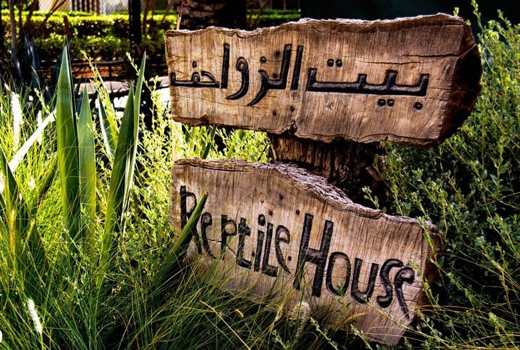 حديقة الحيوان الكويت