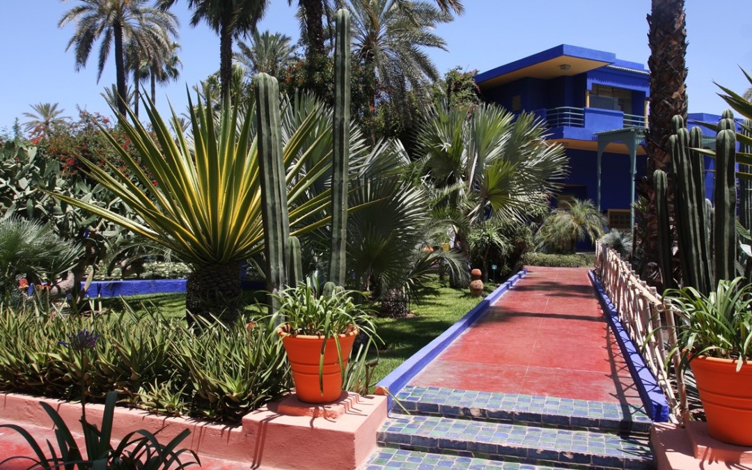 -majorelle-marrakech-jpg