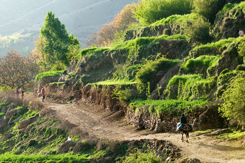 -parc-national-toubkal-jpg