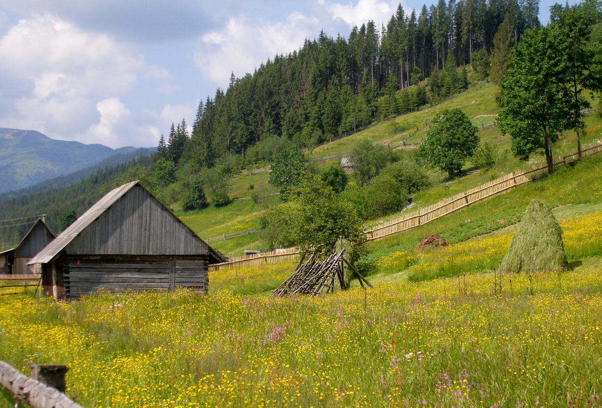 -06-bystrica-cvetah-jpg