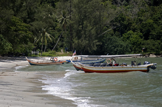 -monkey-beach-excursion-including-bbq-lunch-penang-penang-138968-jpg