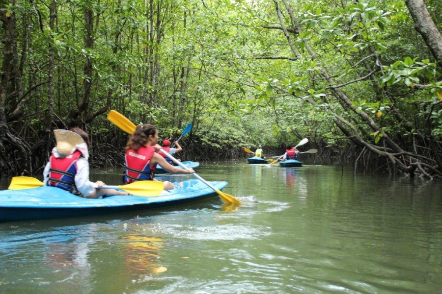 -mangrove-kayak-jpg