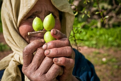 -argan_994271032-jpg