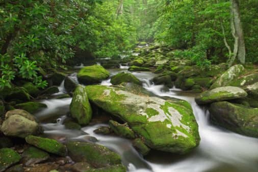 -smoky-mountains-national-park-jpg