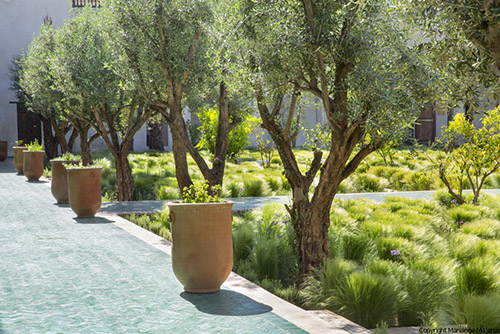 -jardin-jardin-secret-marrakech-03-jpg