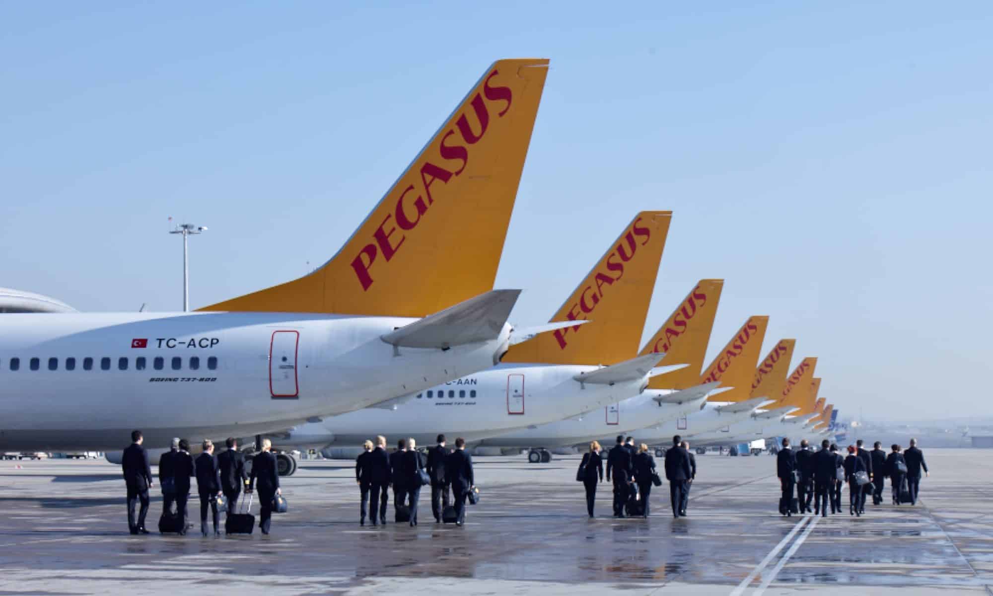 Pegasus Airlines رايكم