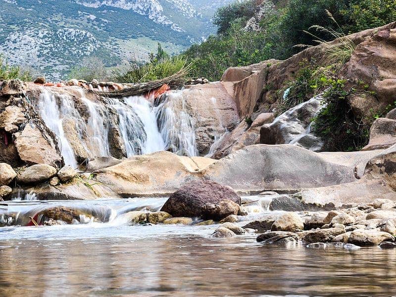 العين الزرقاء ضواحي تطوان (الحمامة البيضاء المغربية)