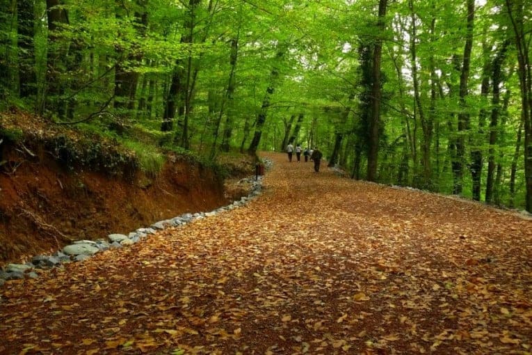 كيف اذهب الى غابات بلغراد (رحلة في أحضان الطبيعة)