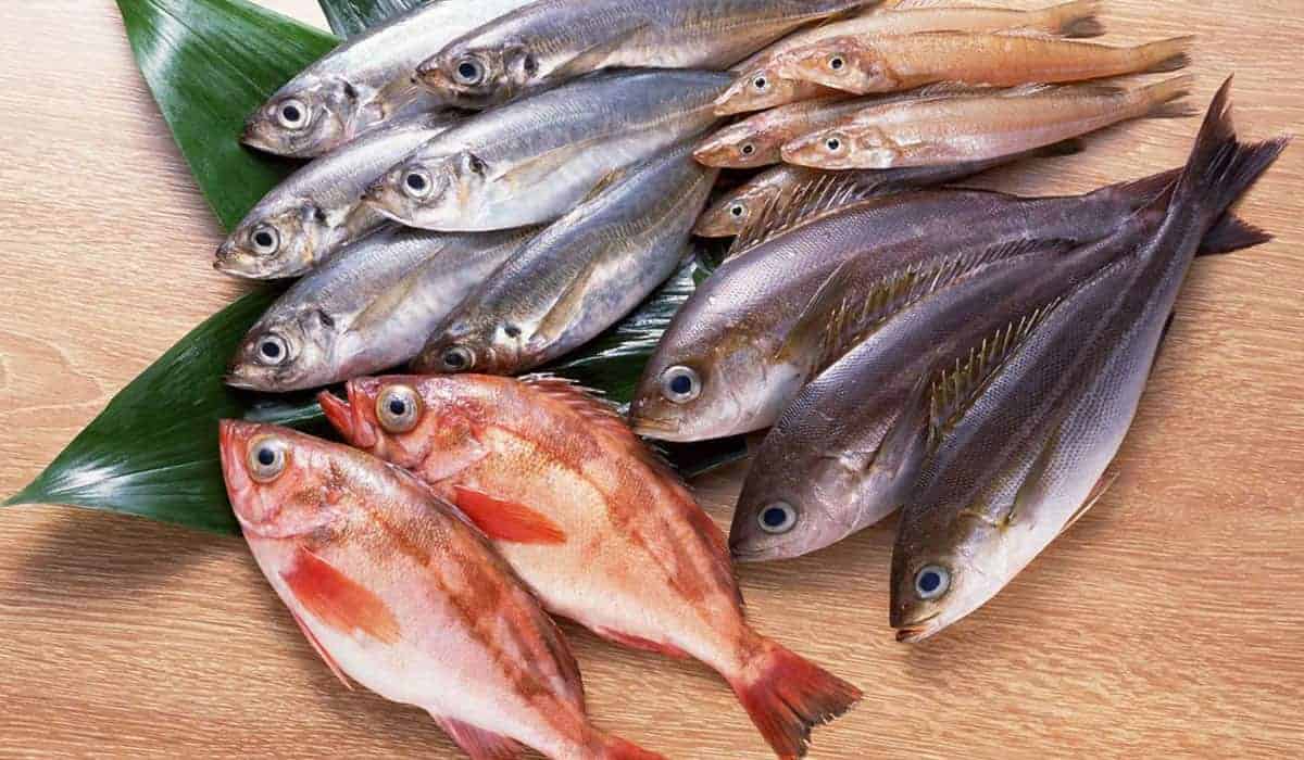 اسماك طازجة الرياض شمال (افضل محلات الرياض)