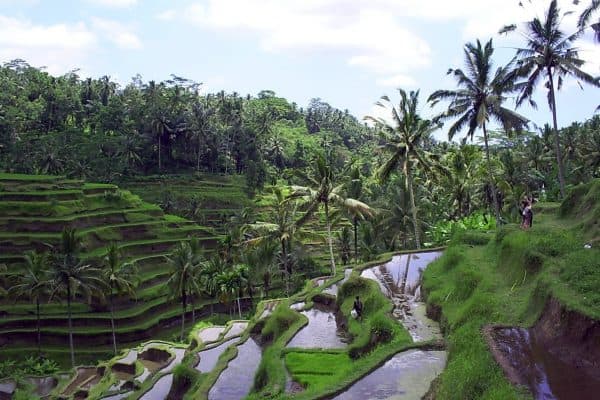 Kaliurang-%D9%8A%D9%88%D8%AC%D9%8A%D8%A7%D9%83%D8%A7%D8%B1%D8%AA%D8%A7-%D8%A5%D9%86%D8%AF%D9%88%D9%86%D9%8A%D8%B3%D9%8A%D8%A7-600x400.jpg