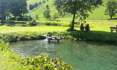 قرية زيلامسي Zell AM See النمساوية