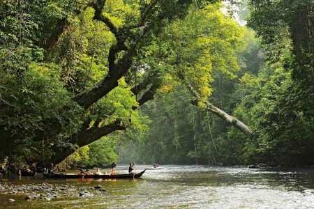 تامان نيجارا ماليزيا تعرف على اقدم غابات العالم
