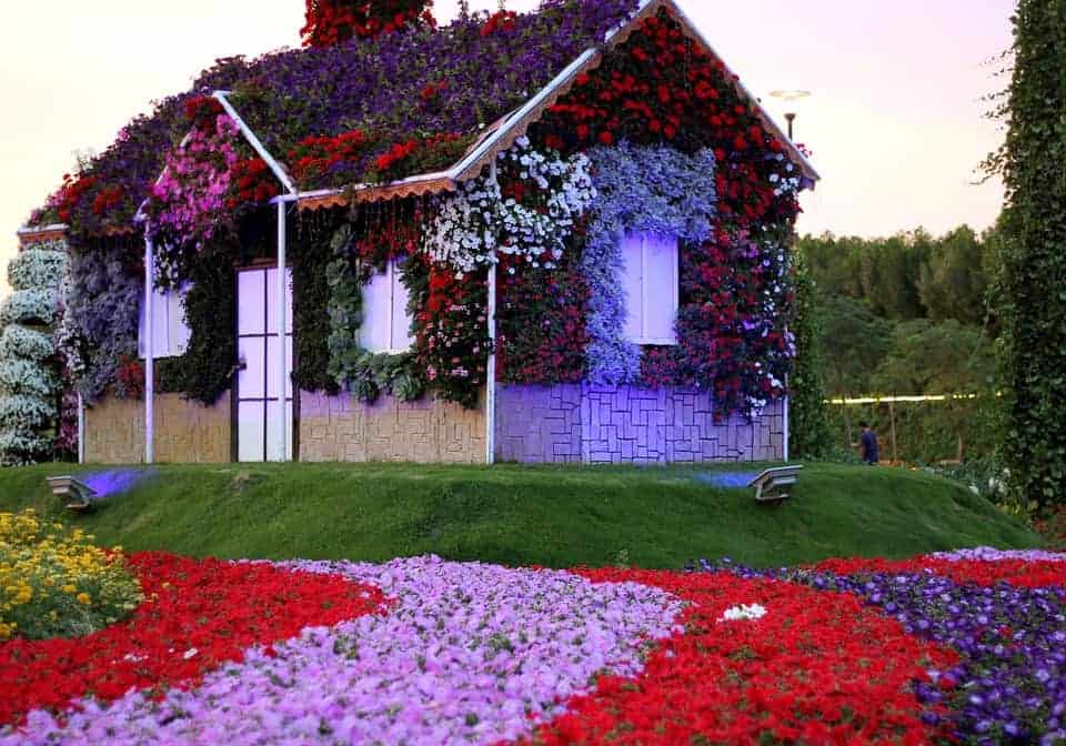 ماذا يوجد في حديقة الزهور في دبي ؟