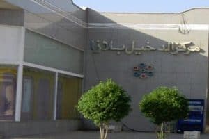 الدخيل بلازا