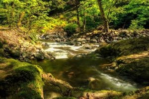 زيارة أهم الأماكن في لنكران - أذربيجان - لنكران