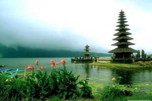 زيارة منطقة البيديقول - إندونيسيا - جزيرة بالي