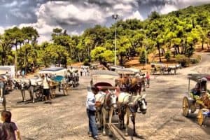 التجول في اسطنبول - تركيا - اسطنبول