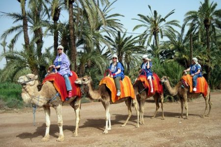 تجربة ركوب الجمال و الدراجات الرباعية في صحراء مراكش