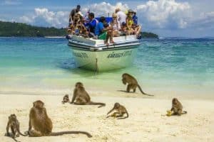 زيارة جزيرة القرود بينانج - ماليزيا - بينانج