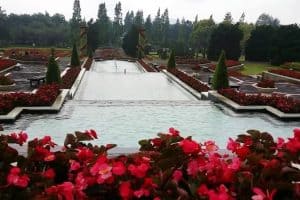 زيارة أشهر الحدائق - إندونيسيا - بونشاك