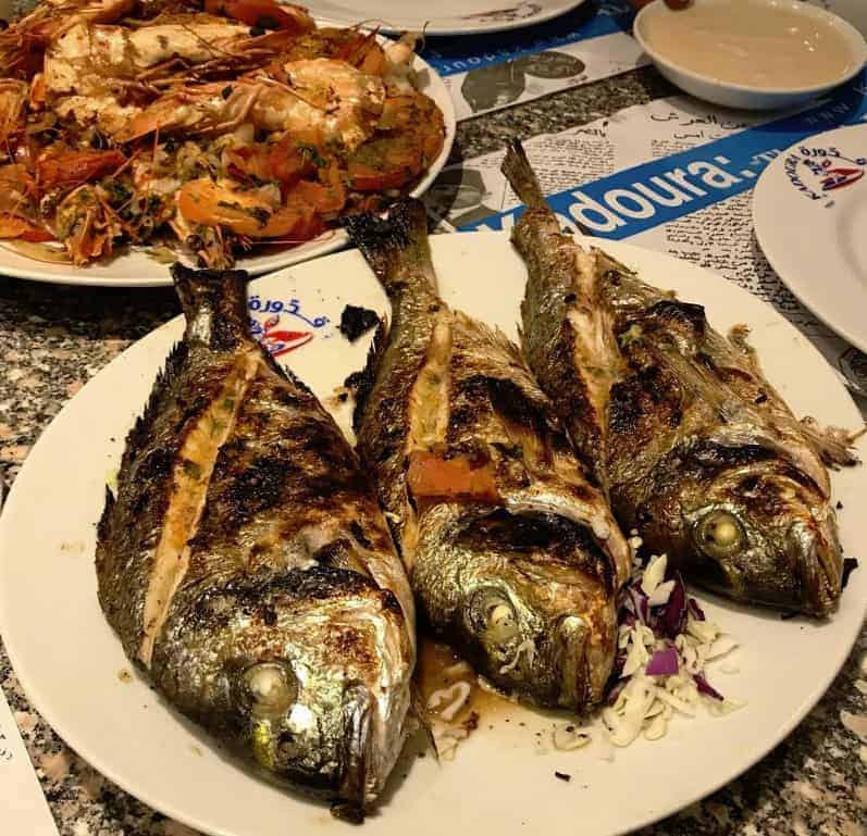 مطعم أسماك قدورة