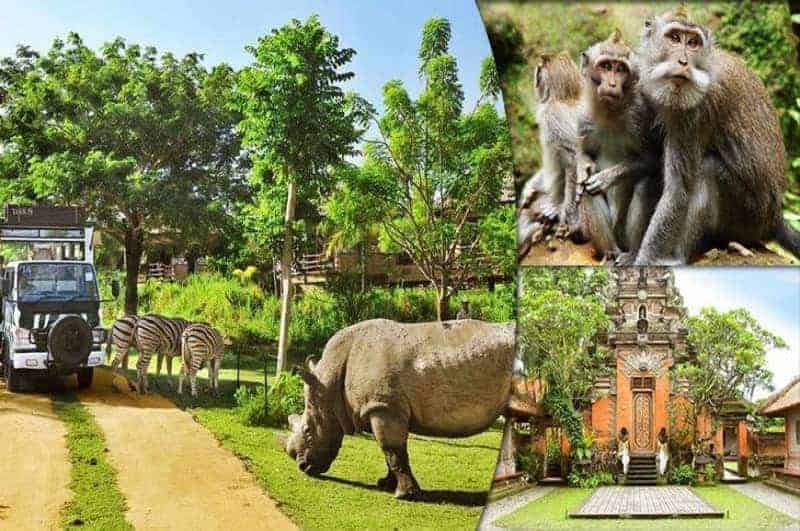 زيارة حديقة الطيور والزواحف Bali Bird & Reptile Park Tou - إندونيسيا - جزيرة بالي