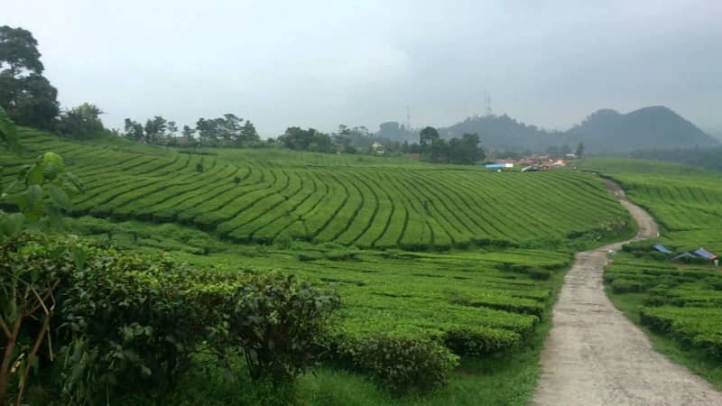 الذهاب إلى باوندونق Bandung - إندونيسيا - باوندونق