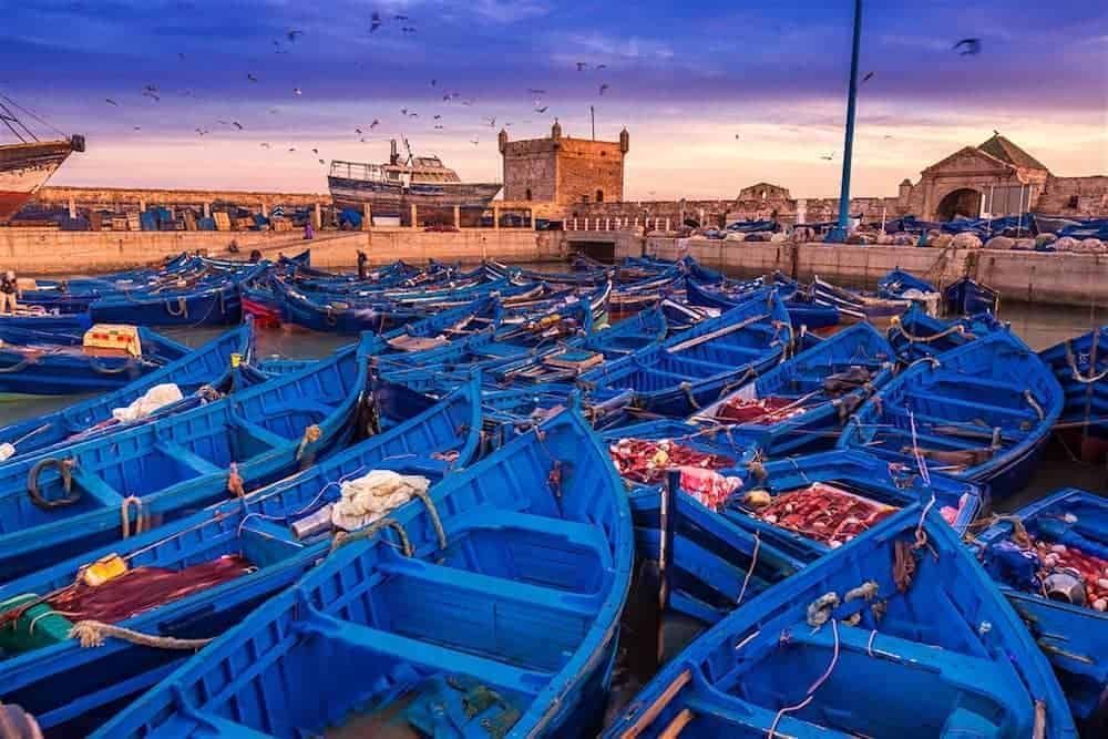 السياحة في مدينة الصويرة م33