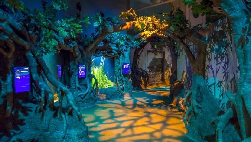 اكواريوم سنغافورة او سي اكورايوم S.E.A. Aquarium  س32