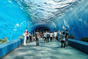 زيارة أشهر المعالم السياحية في بتايا – تايلاند – بتايا