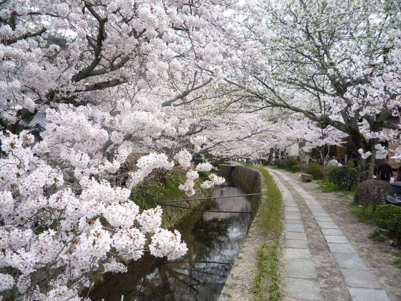 ممشى الفلاسفة The Philosophers’ Walk