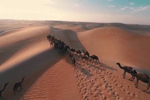 زيارة أشهر الأماكن السياحية في الرياض – السعودية – الرياض