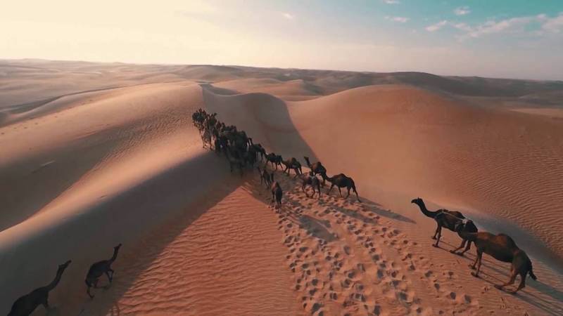 زيارة أشهر الأماكن السياحية في الرياض - السعودية - الرياض