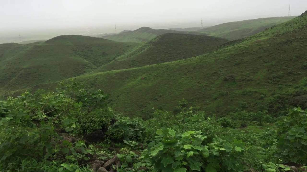زيارة جامع الرواس - قصر السلطان- جبل آتين - قلعة مرباط ص31