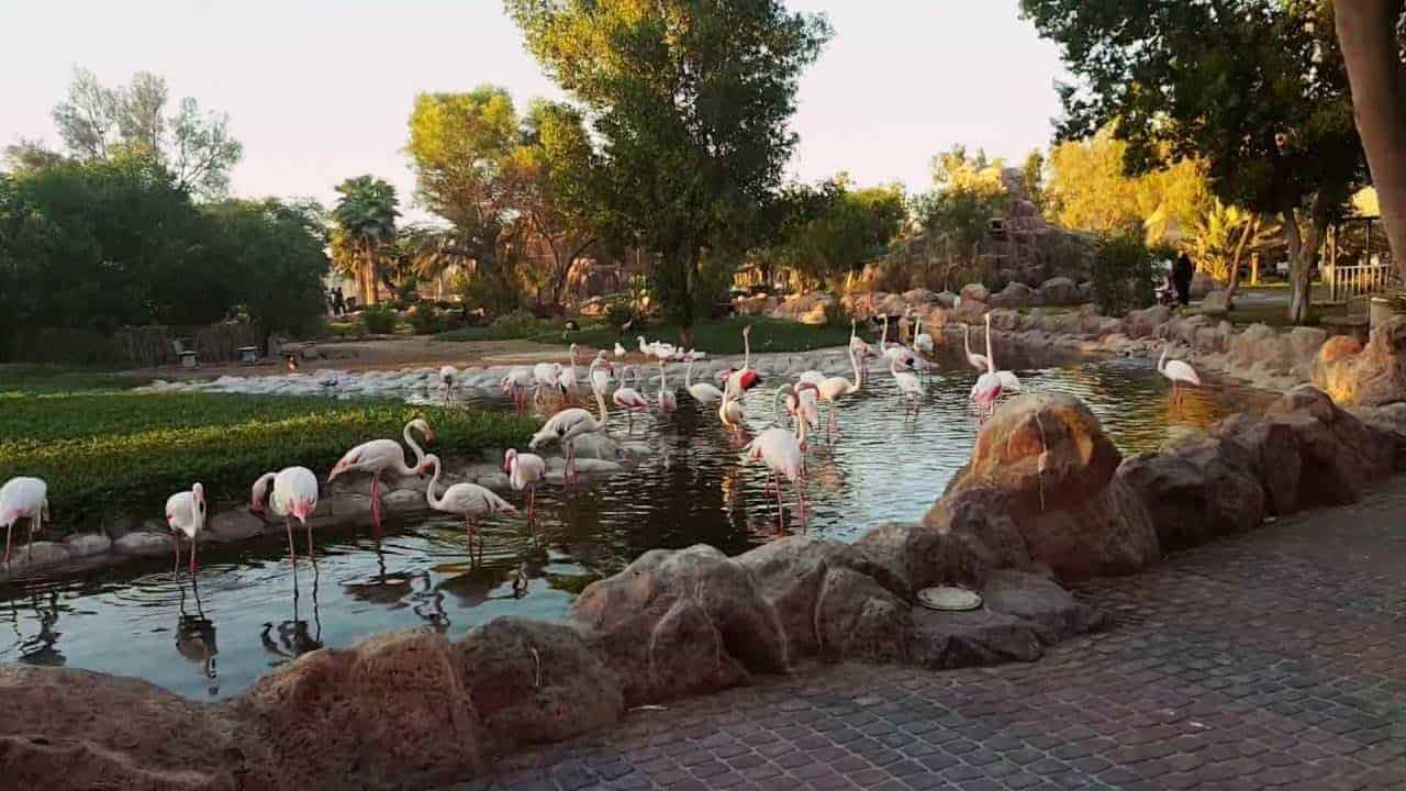 حديقة العرين