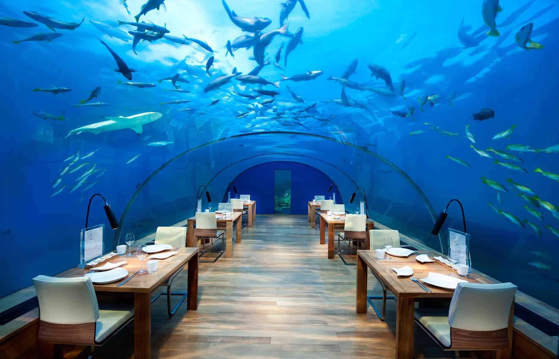 مطعم تحت الماء في جزر المالديف