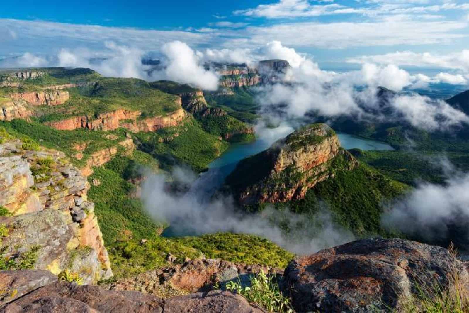 الطبيعة البرية في جنوب أفريقيا