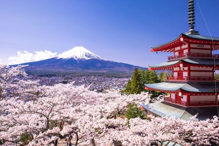 تكلفة السياحة في اليابان