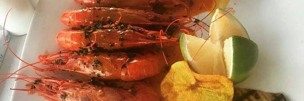 مطعم تاج كوستا بيلا Taj Costa Bella Restaurant