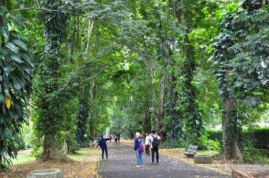 حدائق بوجور النباتية – اندونيسيا