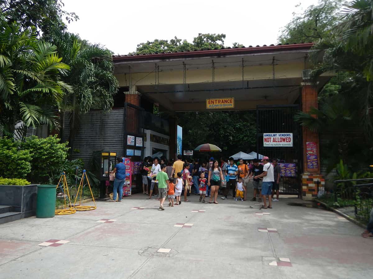 افضل 4 انشطة في حديقة حيوان مانيلا الفلبين