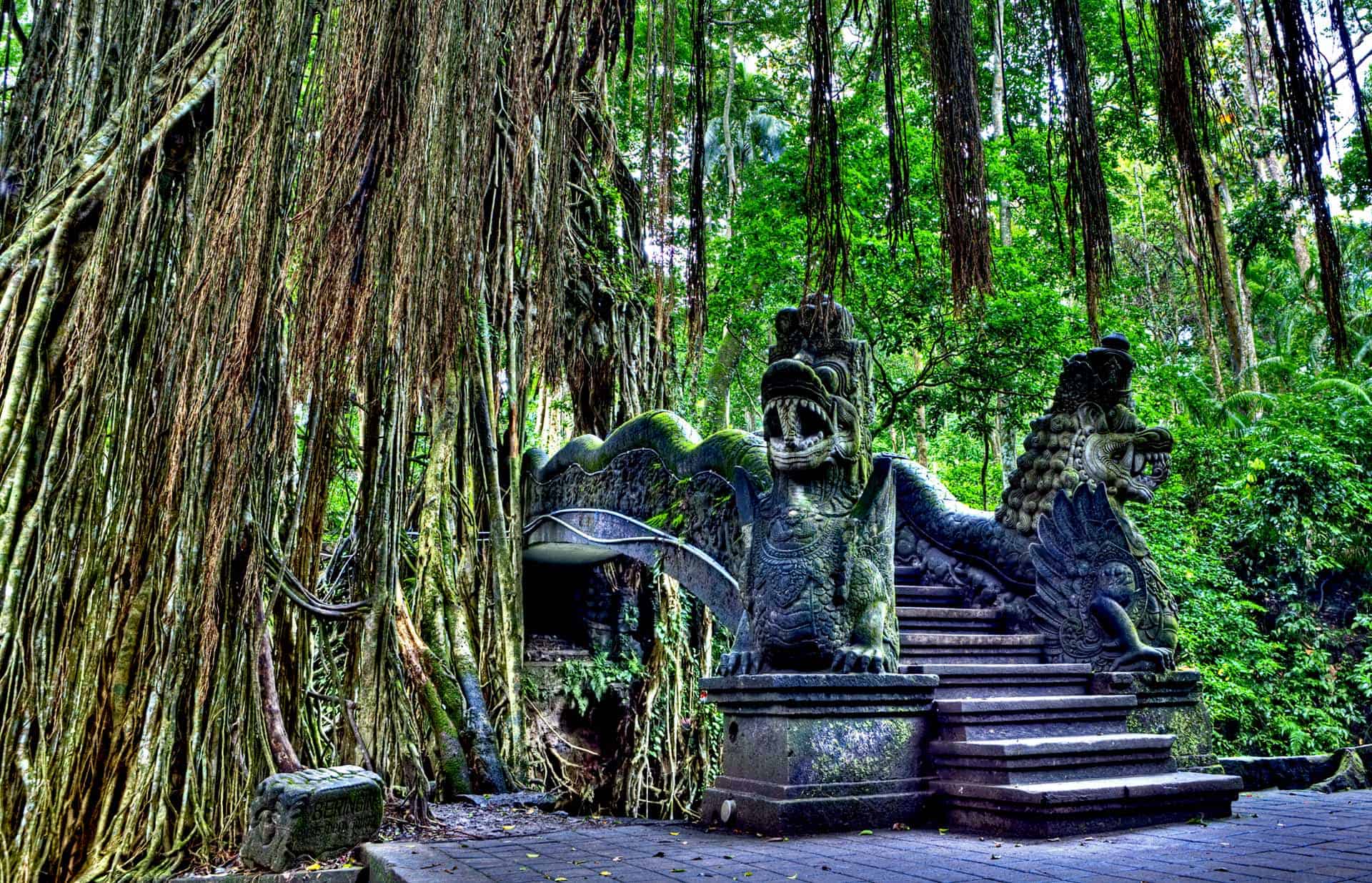 حديقة القرود MONKEYS FOREST