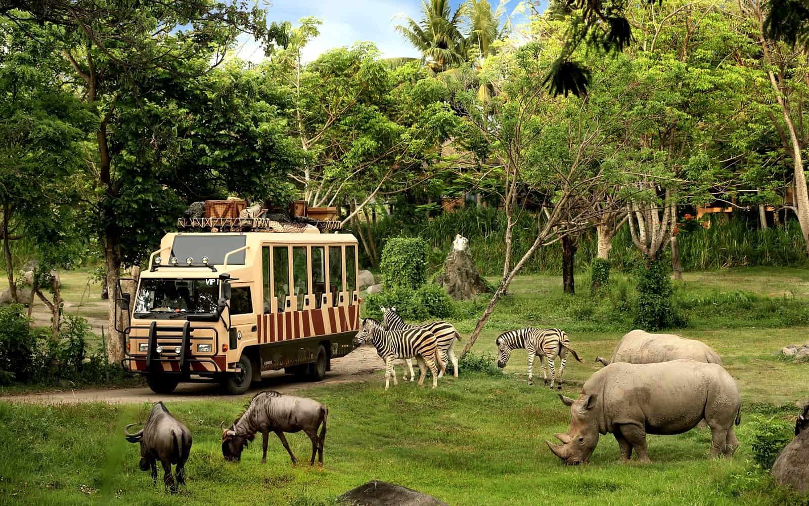 حديقة حيوان بالي BALI SAFARI & MARINE PARK