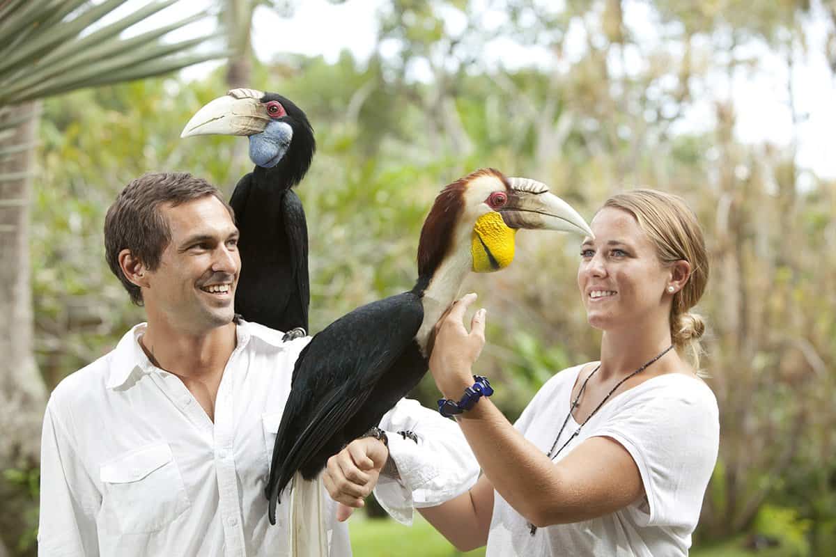 حديقة بالي للطيور Bali Bird Park في جزيرة بالي