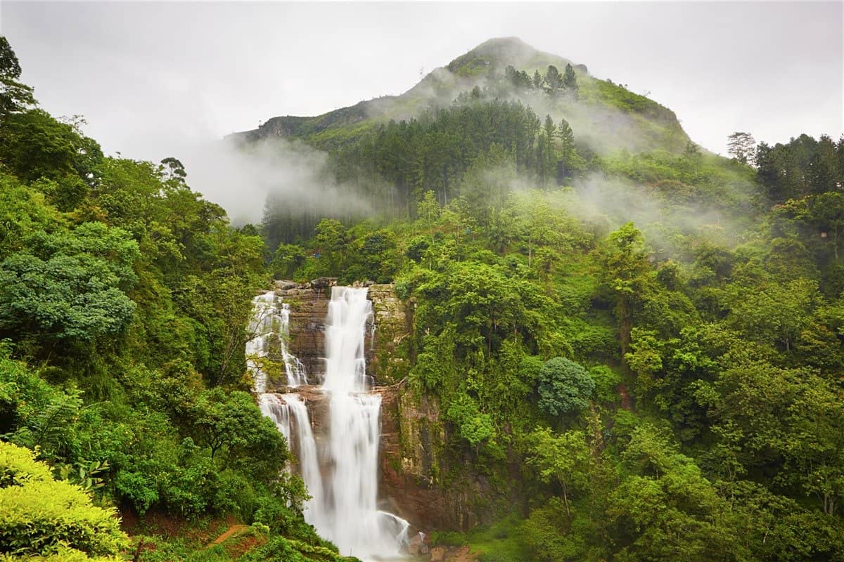 اهم 5 اماكن سياحية في نوراليا سريلانكا
