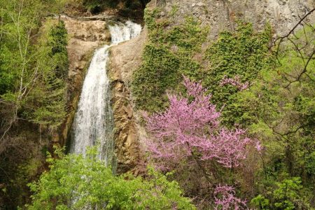 افضل 3 انشطة في حديقة النّباتات الوطنيّة تبليسي