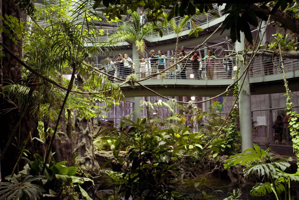 افضل 4 انشطة في اكاديمية كاليفورنيا للعلوم سان فرانسيسكو عطلات