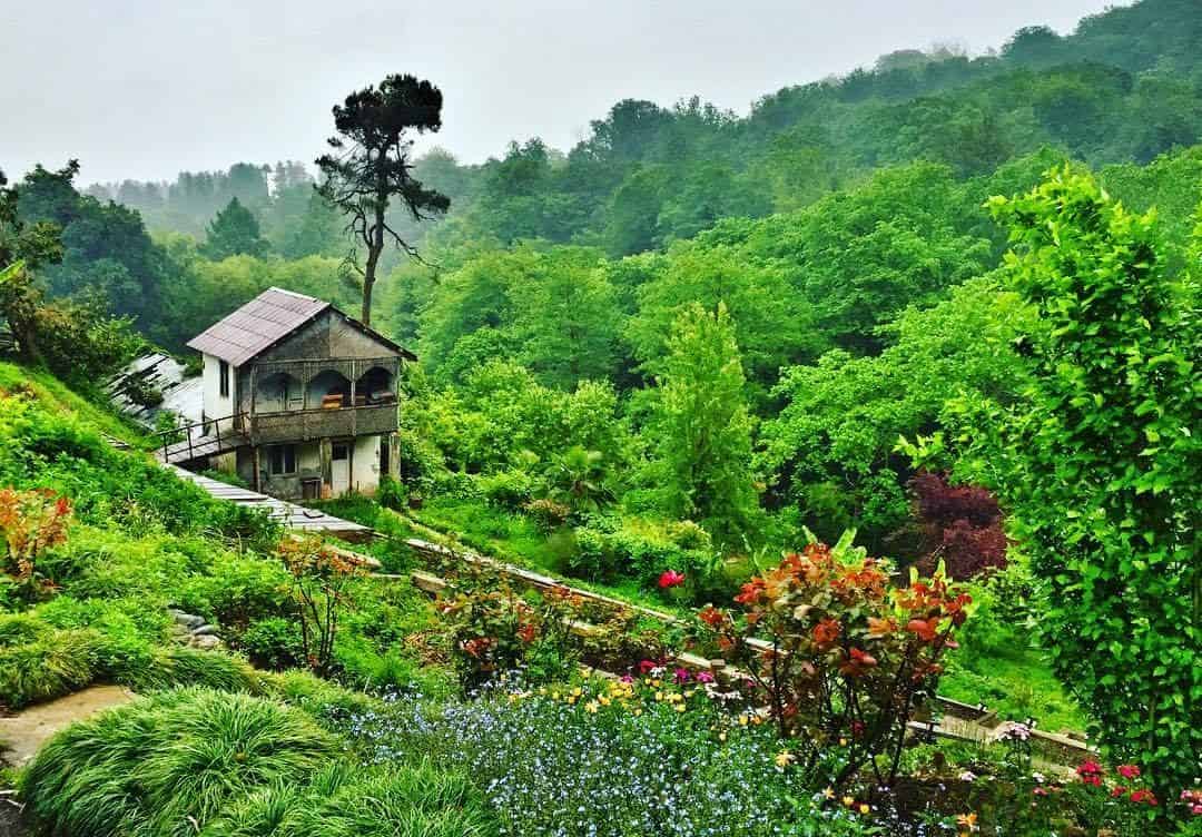 حديقة Batumi Botanical Garden