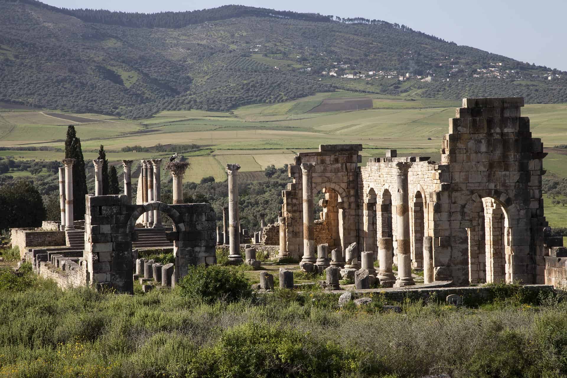 مدينة لكسوس الأثرية العرائش المغرب
