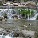 جداول المياه والشلالات الصغيرة